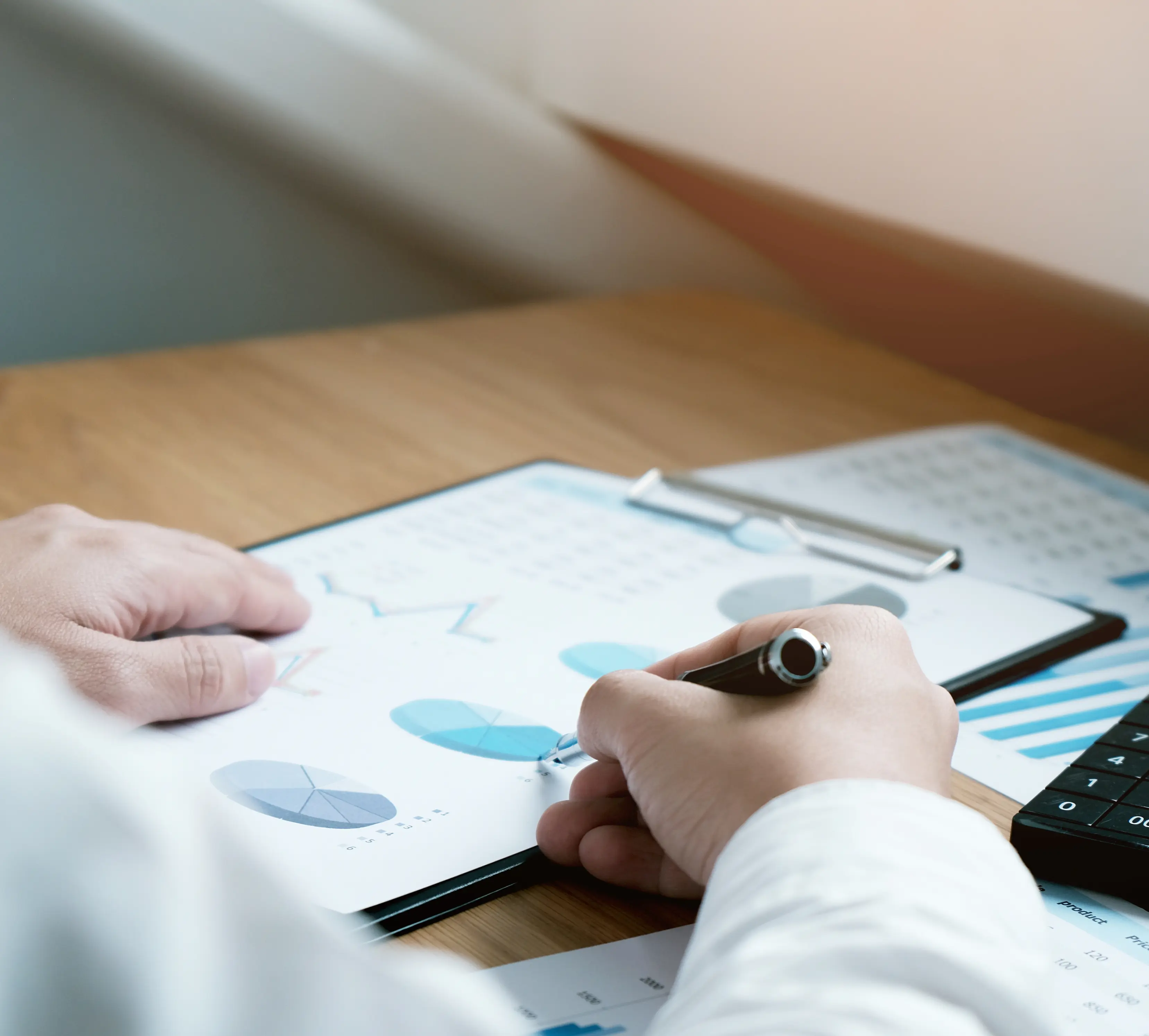 Role of Auditors in Dubai